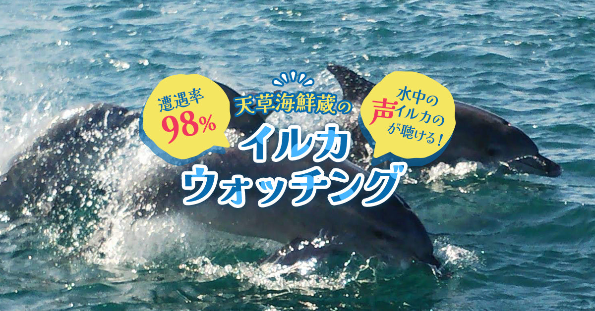 天草 海鮮蔵