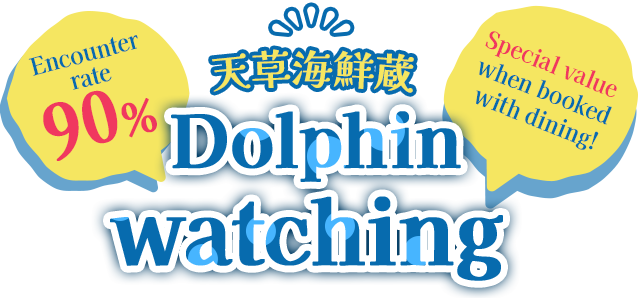 Dolphin watching where you can hear the voices of dolphins