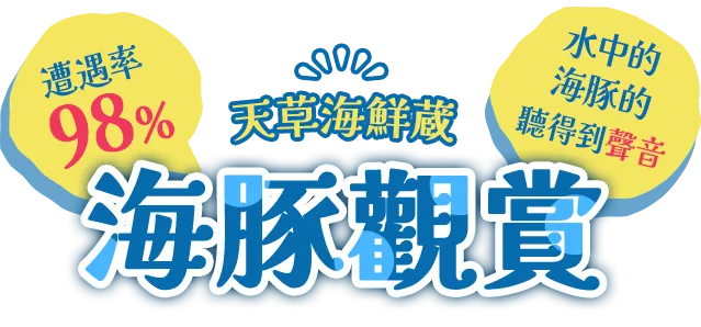 觀賞海豚 可以聽到海豚的聲音