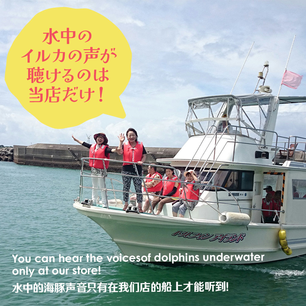 [Reservation] Dolphin watching