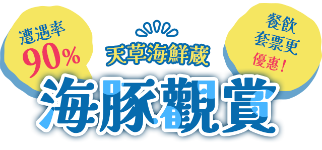 觀賞海豚 可以聽到海豚的聲音