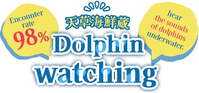 Dolphin watching where you can hear the voices of dolphins