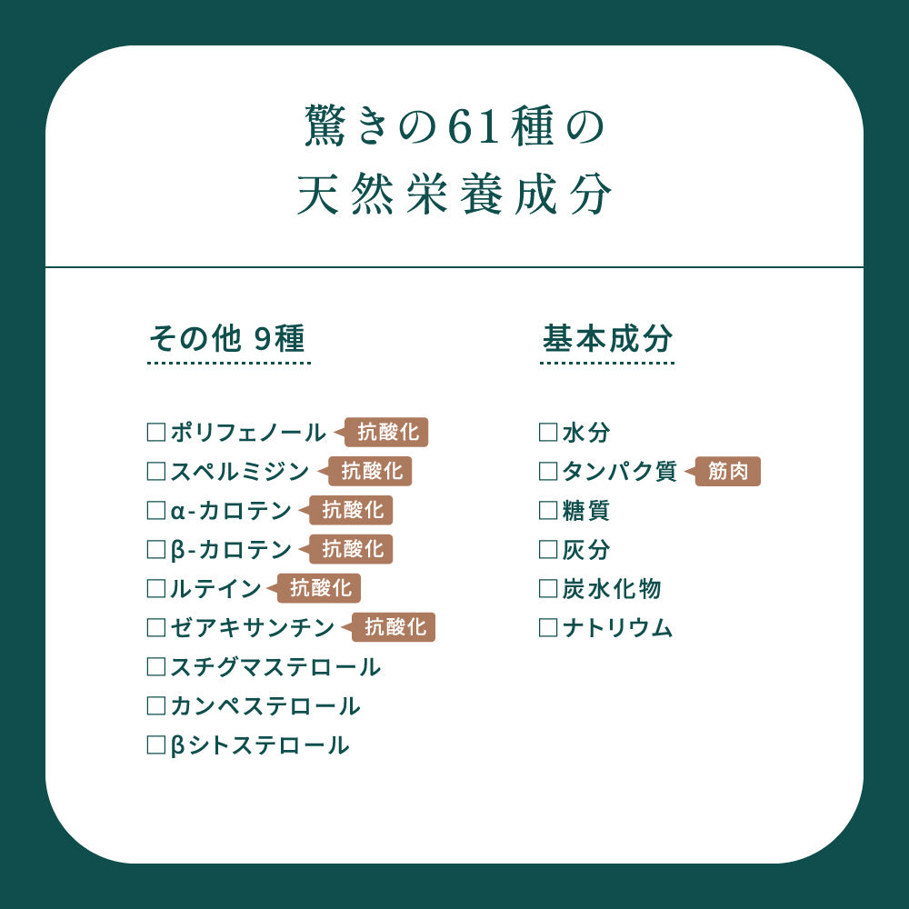 MOCHA藻茶（大）