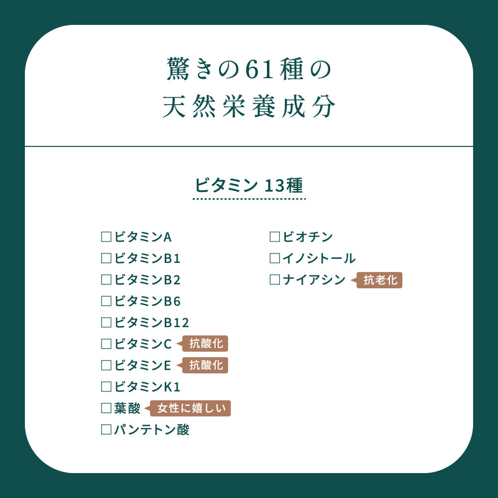MOCHA藻茶（大）